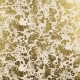 Milli Blu's Katoenen twill met folie druk goud €29,00 p/m