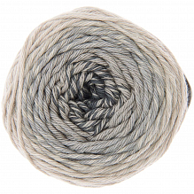 Ricorumi Spin Spin DK kleur 016 Grey