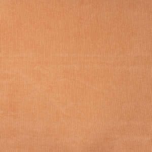Qjutie jersey ribcord florida