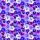 CD 3753 PansyCD 3753 Pansy